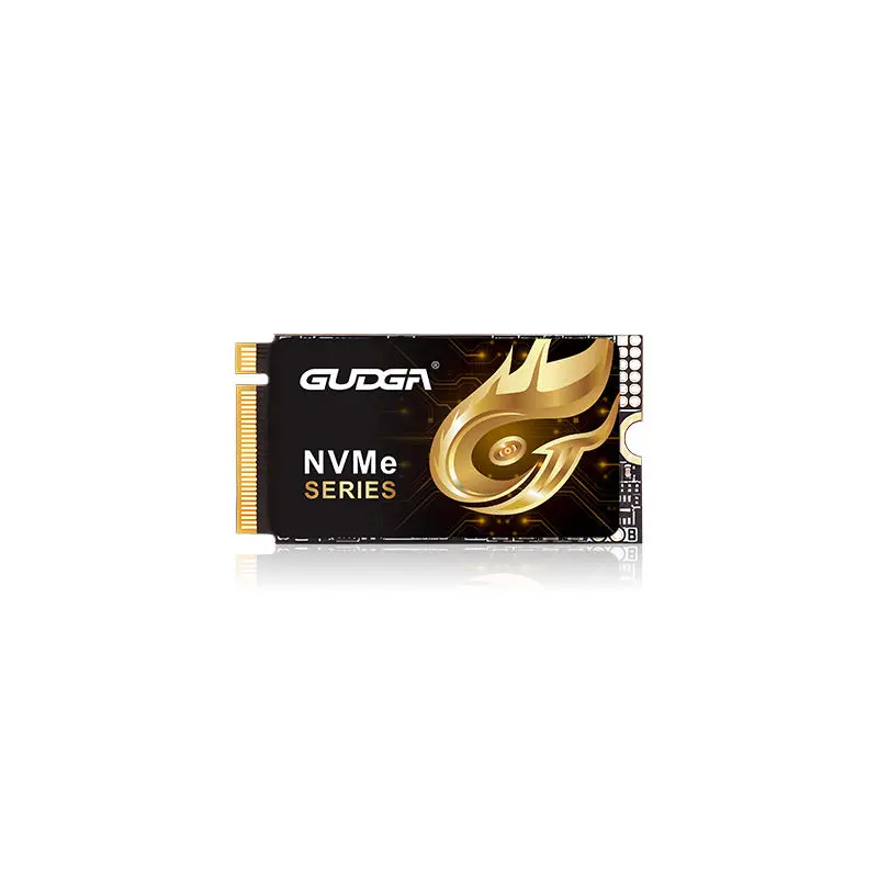 2242 Uzunluk PCIE 4.0 NVMe SSD 7000 MB/sn