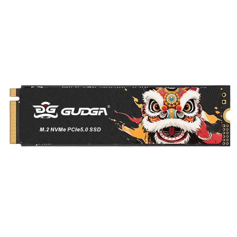 Yüksek hızlı NVME PICE 5.0 14500/10000 dahili SSD